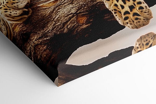 Leopard întins pe o creangă de copac Leopard întins pe o creangă de copac