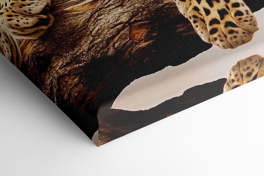 Leopard întins pe o creangă de copac