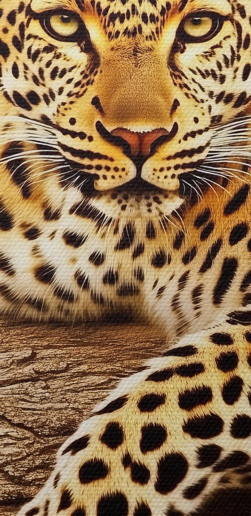 Leopard întins pe o creangă de copac