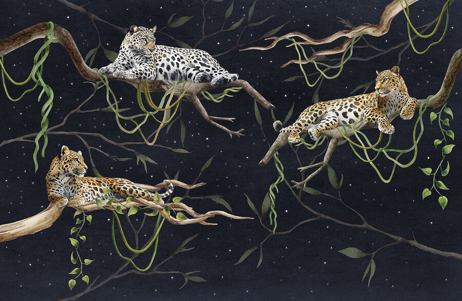 Fototapet Grup de leoparzi culcați pe ramuri - imagine 6