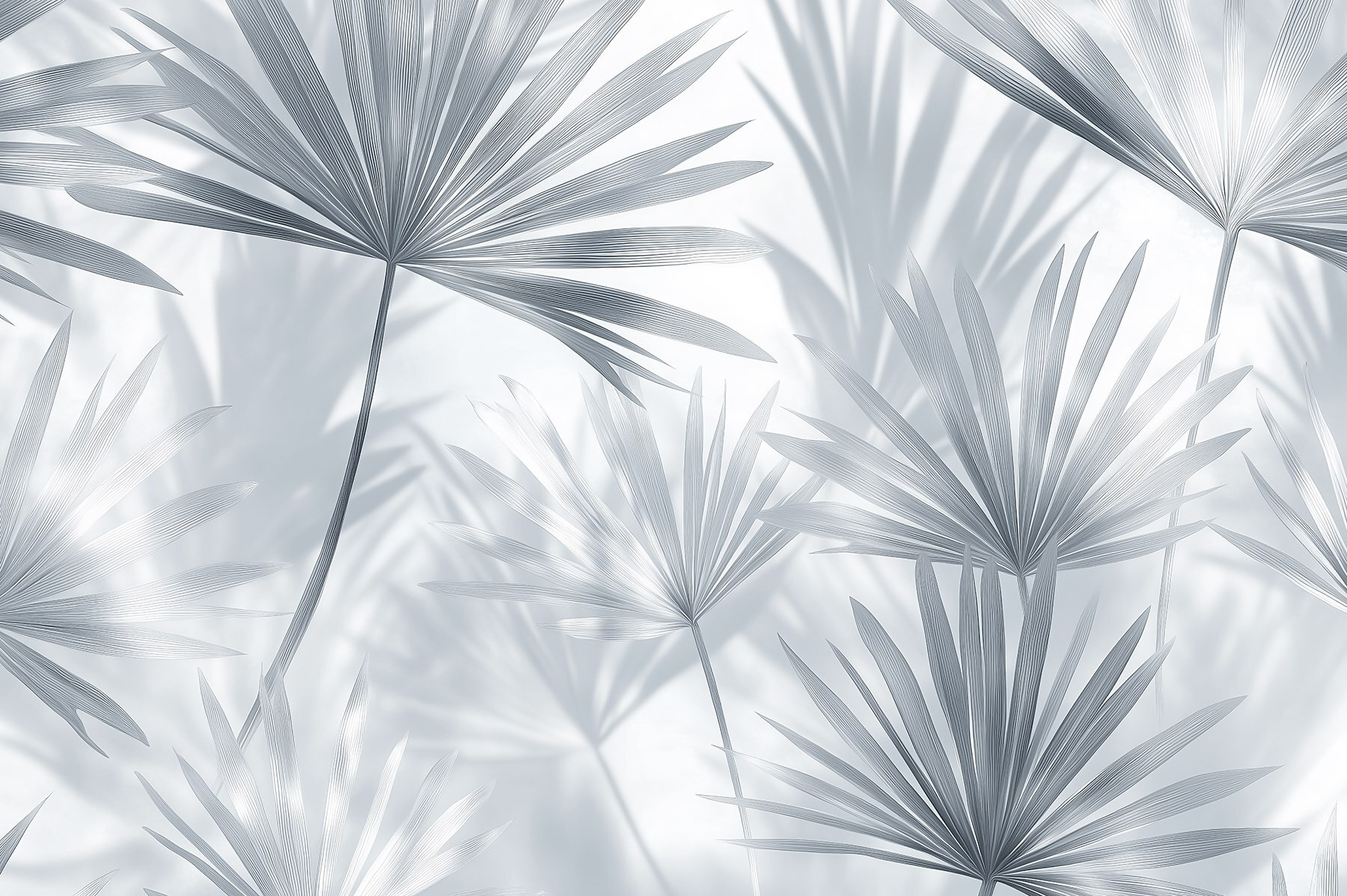 Soft shadows of delicate palm leaves