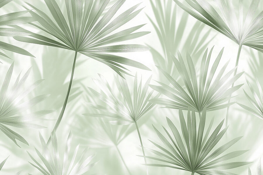 Soft green leaves dance in light Soft green leaves dance in light