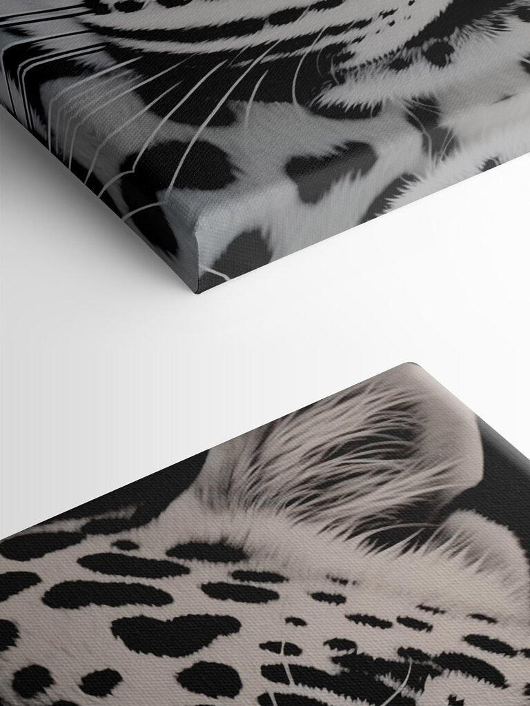 Striking beauty in black and white Striking beauty in black and white