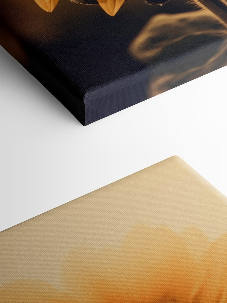 Vibrant petals in soft sunlight