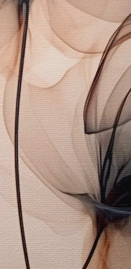 Delicate flow of translucent flowers Delicate flow of translucent flowers