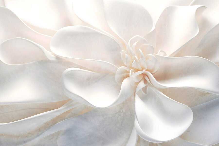 Straturi delicate de frumusețe florală