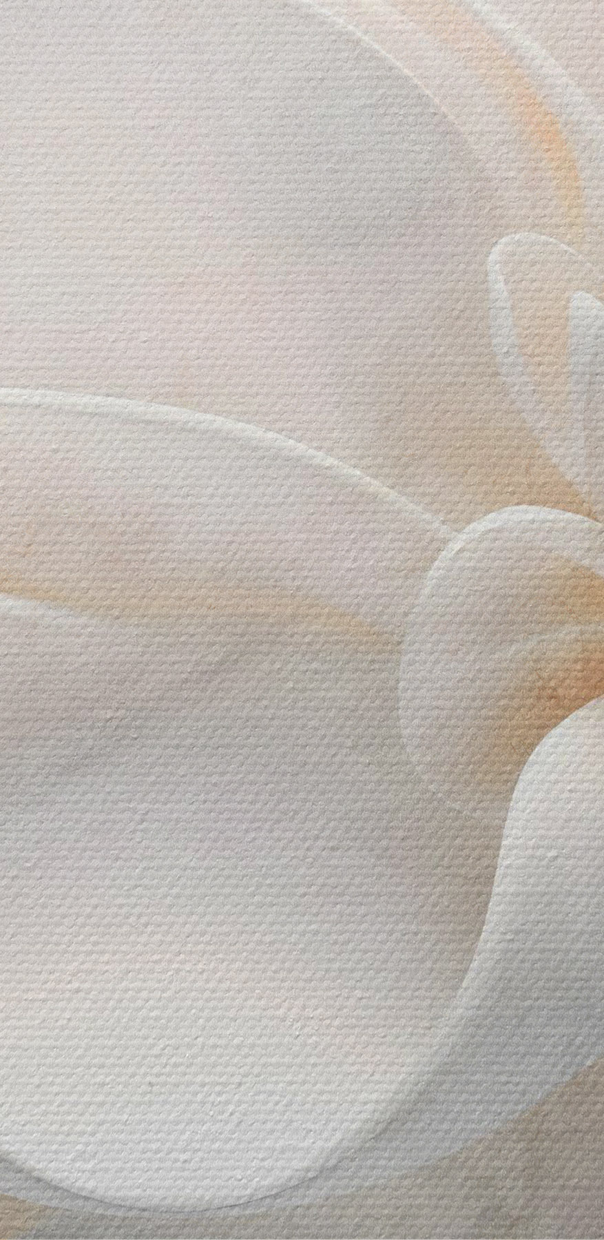 Straturi delicate de frumusețe florală