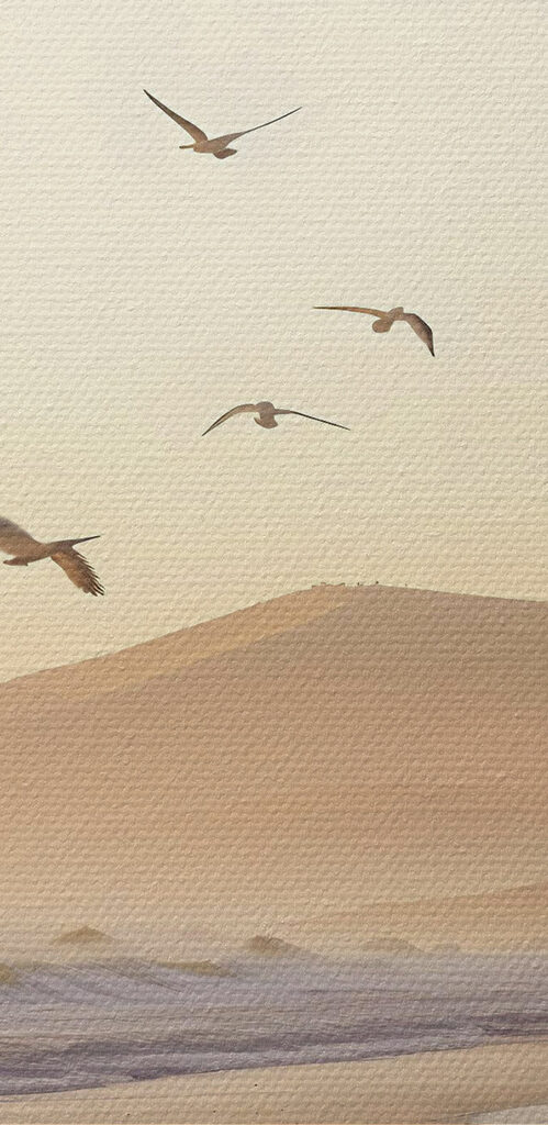 Birds flying over a beach