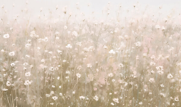 Field of flowers