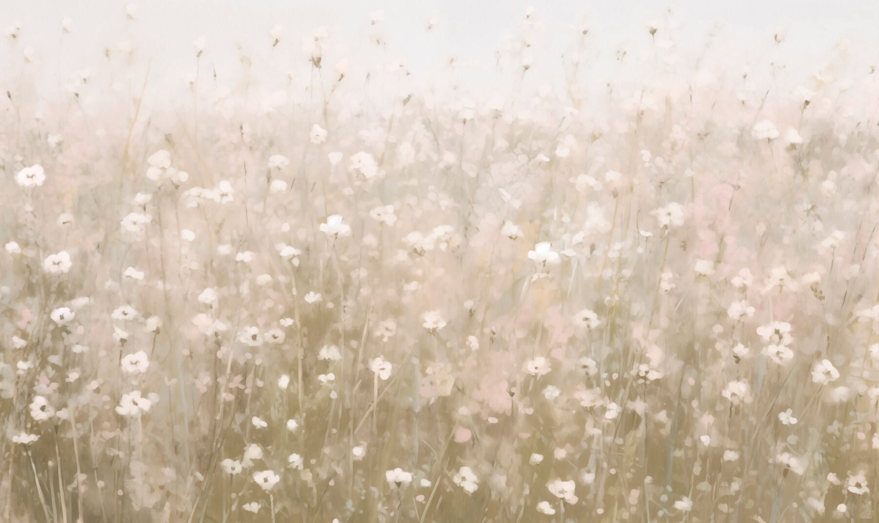 Field of flowers