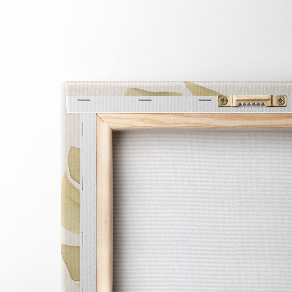 Group of leaves on a white background