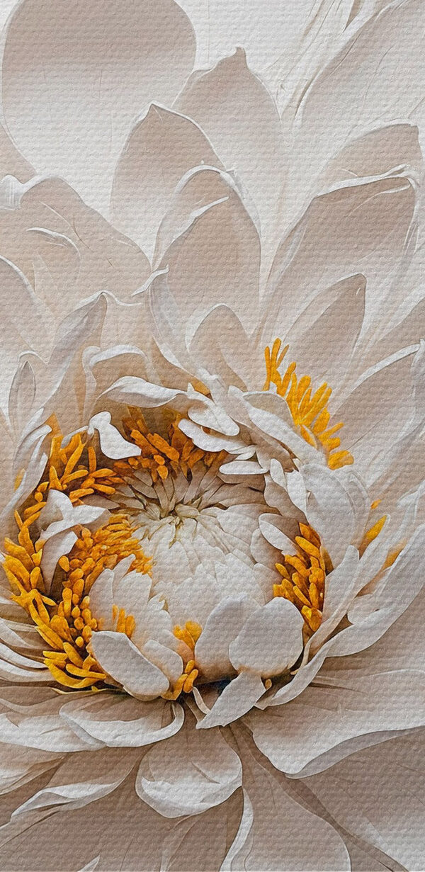 Floare albă cu centru galben Floare albă cu centru galben