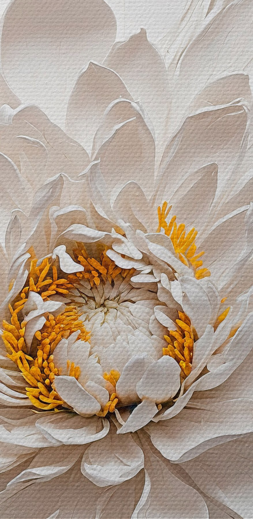 Floare albă cu centru galben Floare albă cu centru galben