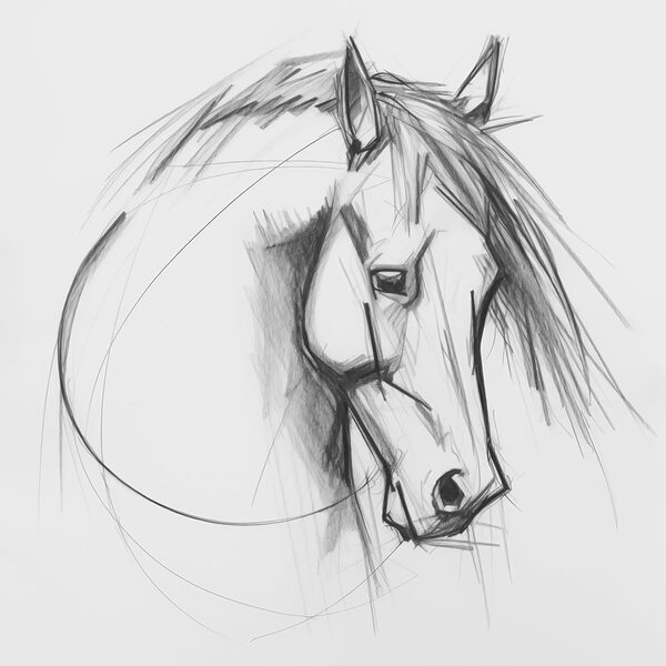 Desenul unui cal Desenul unui cal