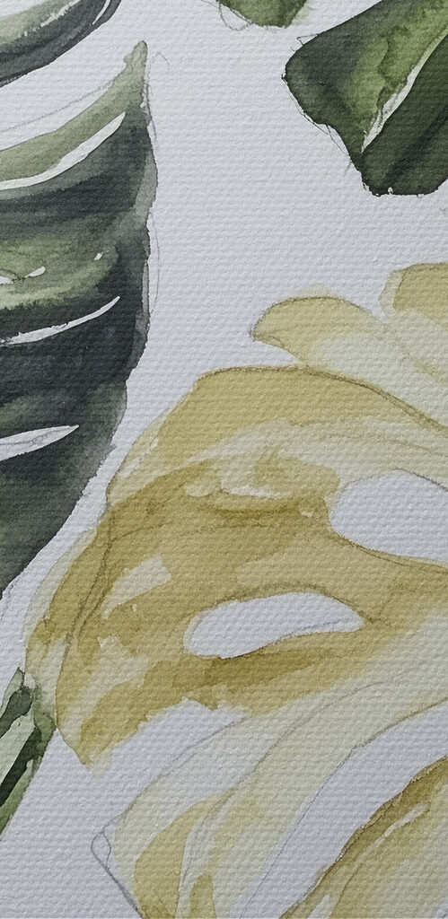 Group of leaves on a white background