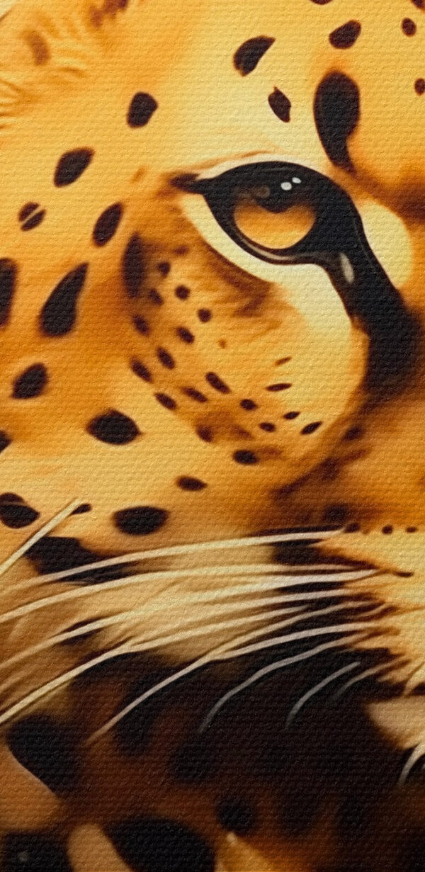Cheetah cu pete portocalii Cheetah cu pete portocalii