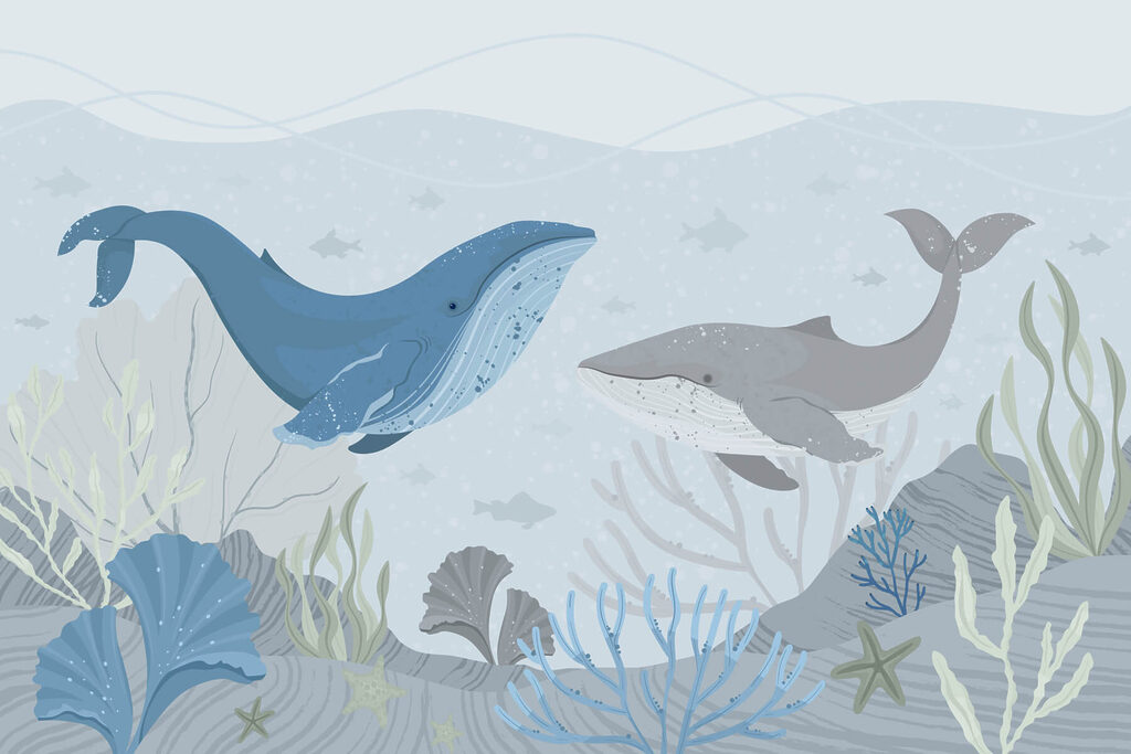 Whale and whale swimming in the ocean