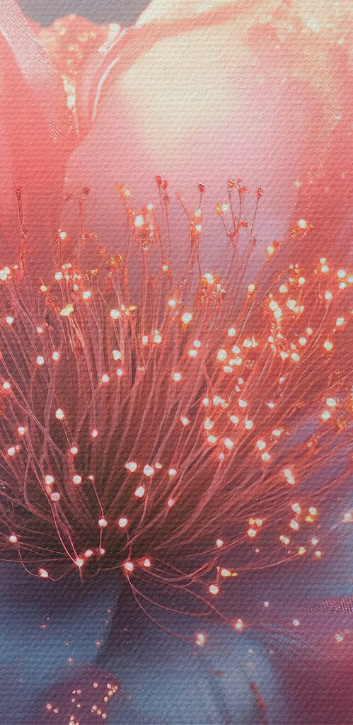 Delicate blooms in soft pastel hues Delicate blooms in soft pastel hues