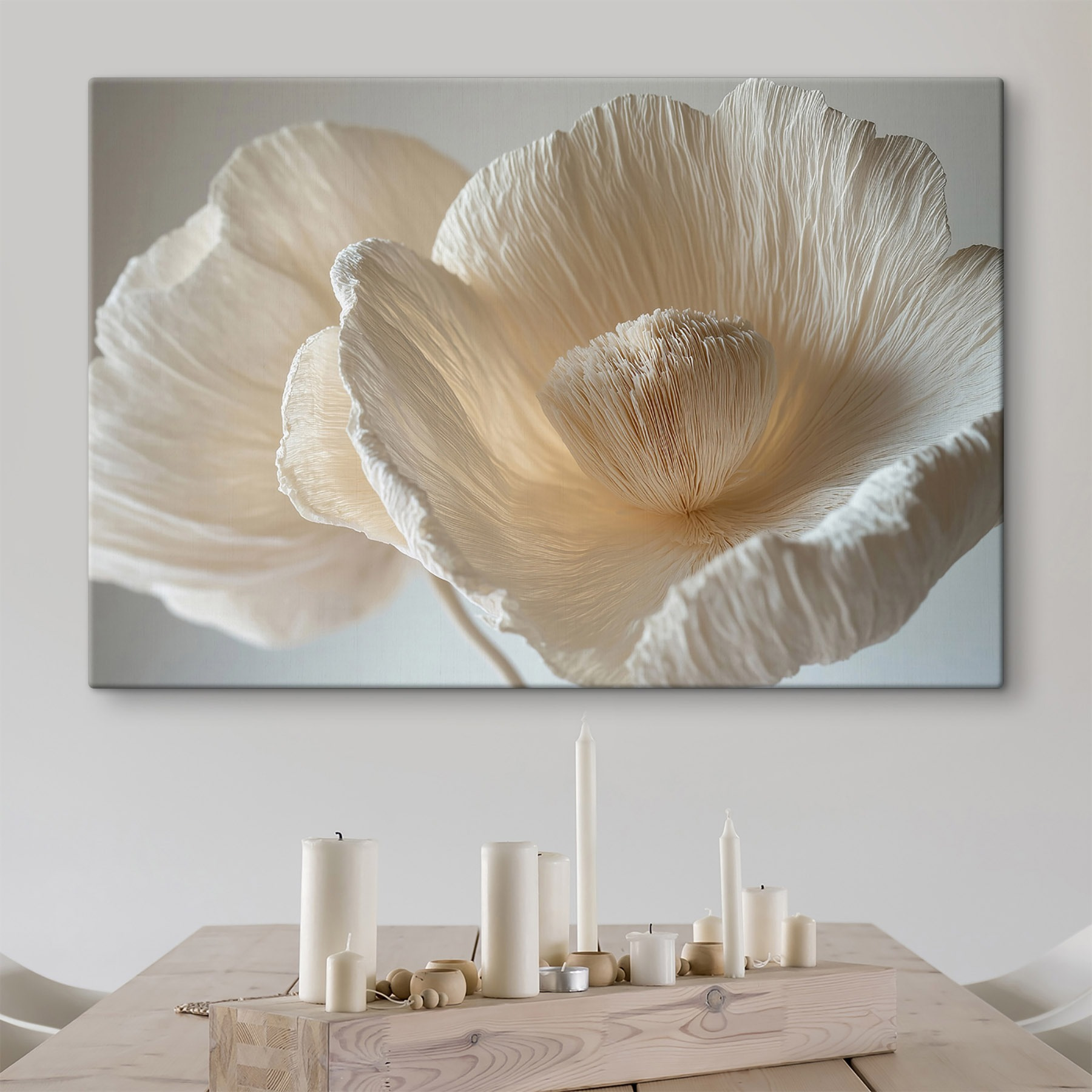 Delicate textured flower petals displayed Delicate textured flower petals displayed