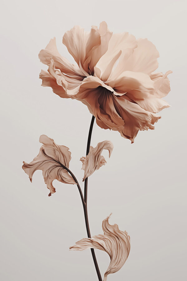 Floare cu frunze uscate Floare cu frunze uscate