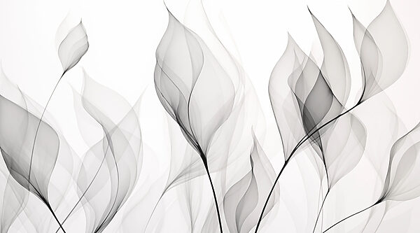 Black and white image of flowers Black and white image of flowers