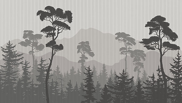 Landscape of trees and mountains