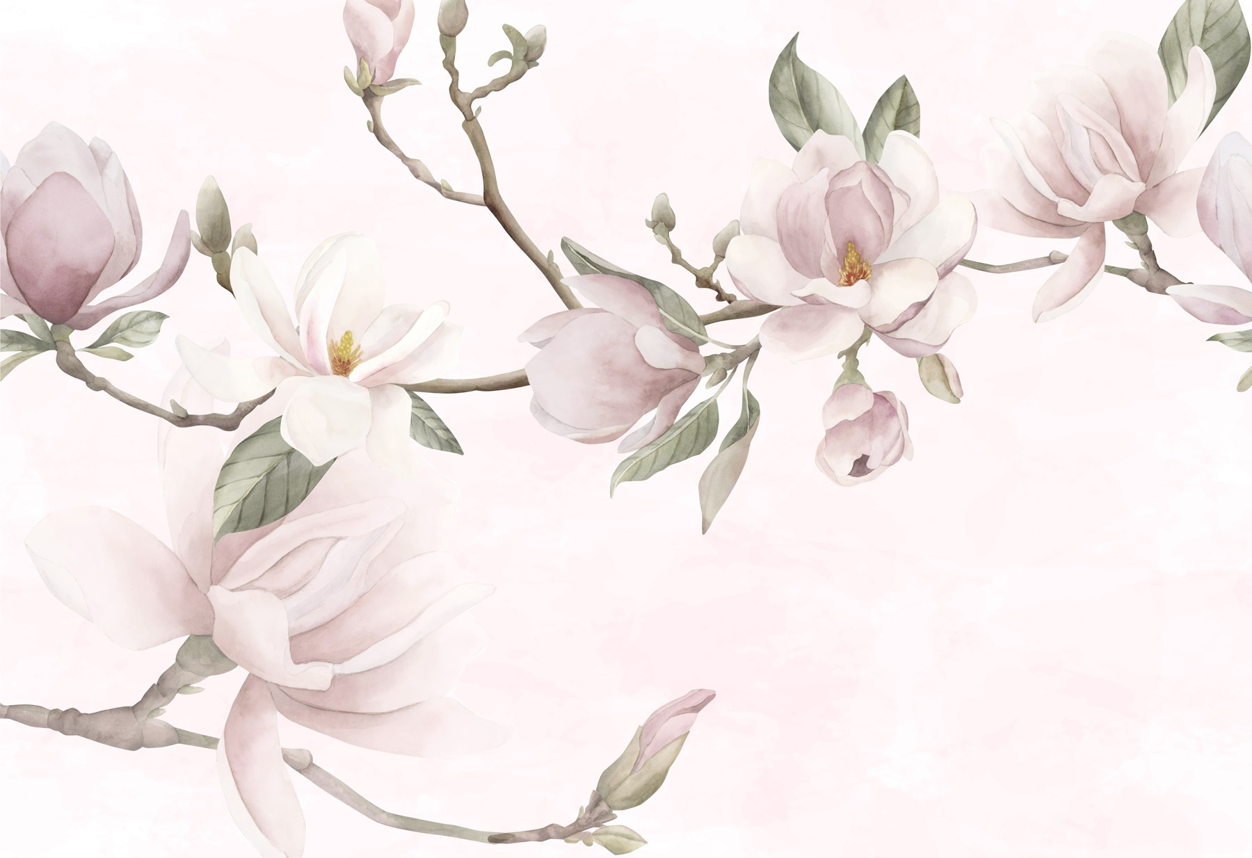 Delicate blooms on soft pastel background Delicate blooms on soft pastel background