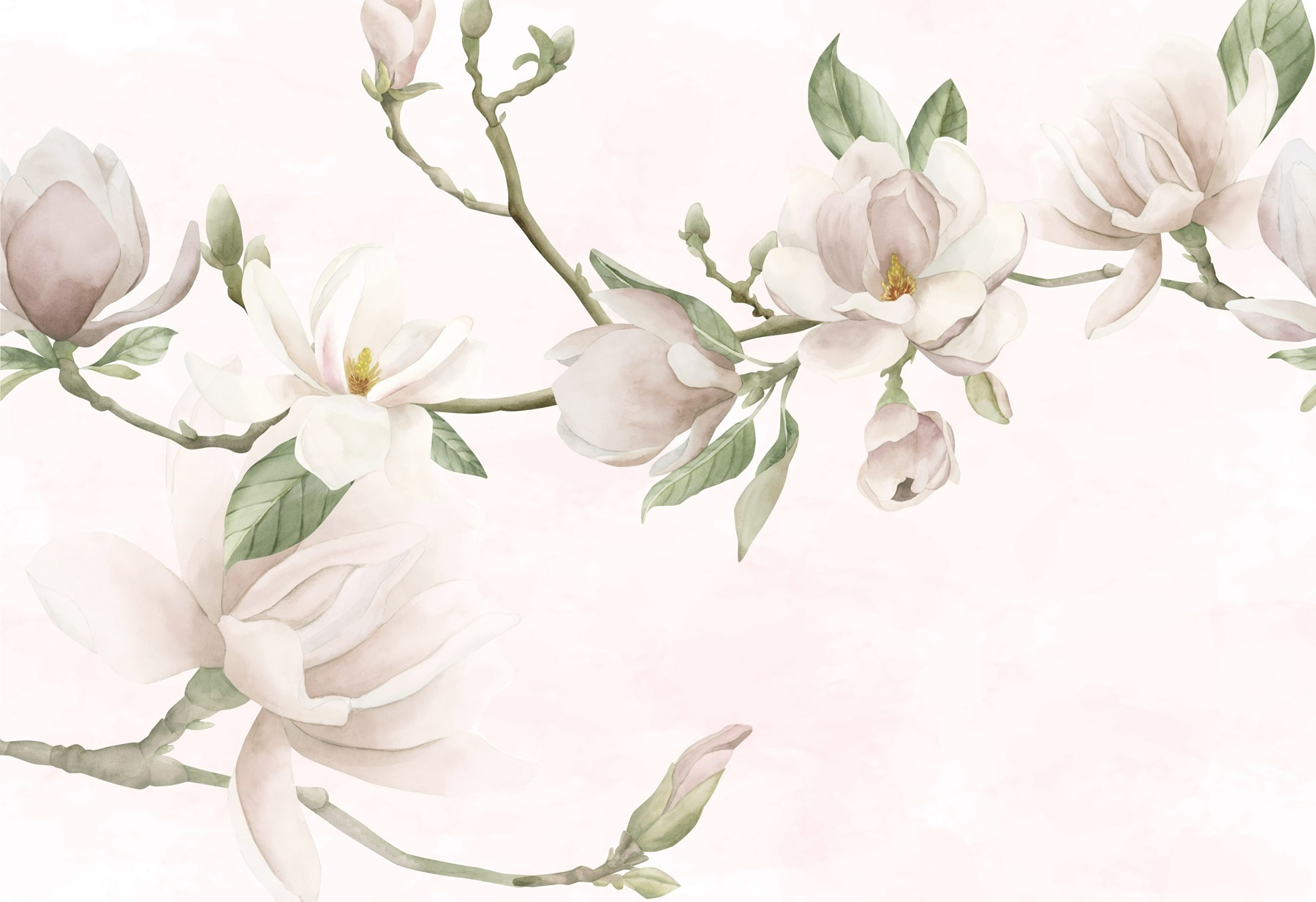 Delicate blooms on soft background Delicate blooms on soft background