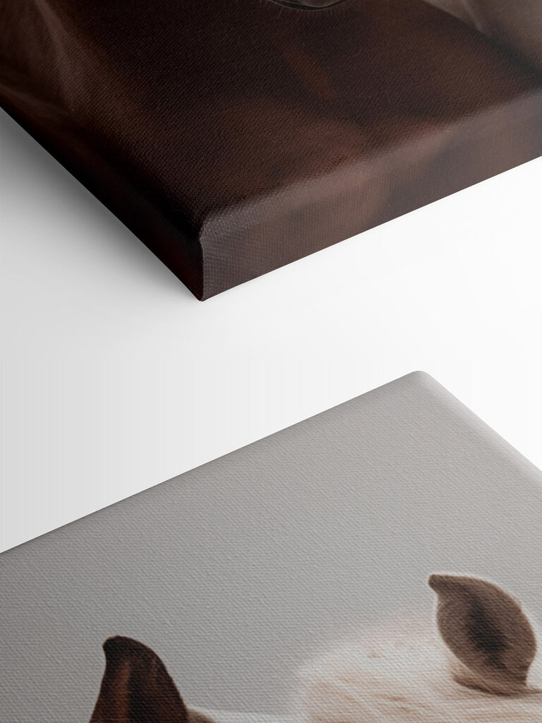 Two horses with their heads together