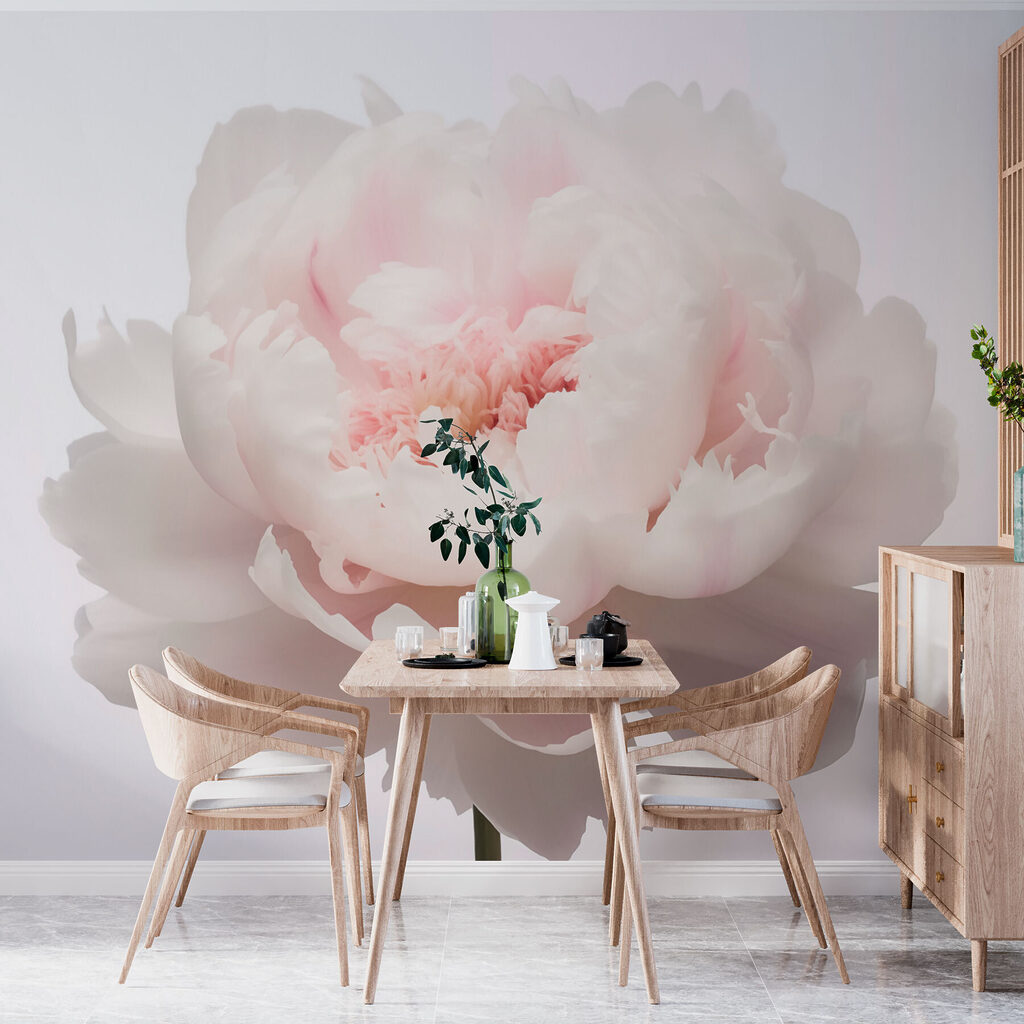 Delicate petals in soft bloom Delicate petals in soft bloom