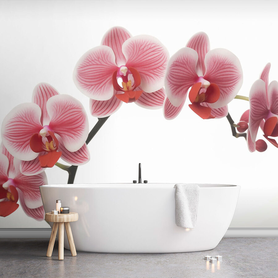 Orhidee delicate în floare delicată