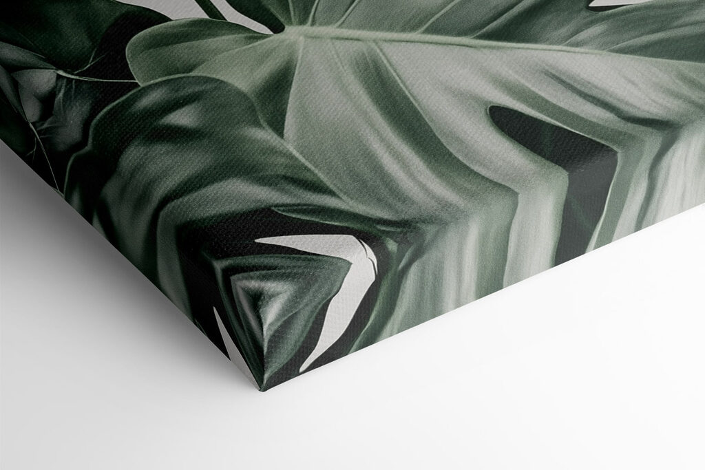 Lush green leaves in soft light