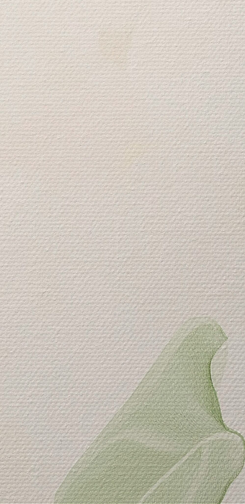 Serene greens in soft light Serene greens in soft light