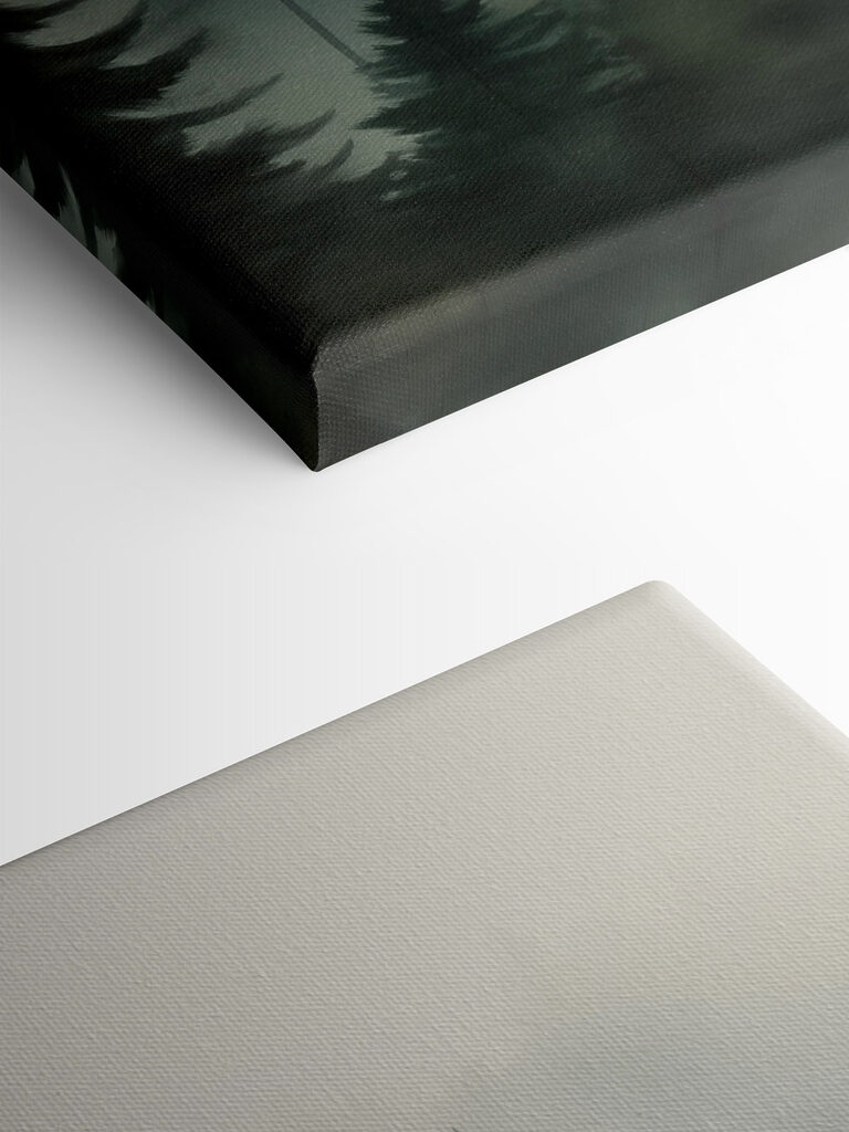 Group of trees in a forest Group of trees in a forest