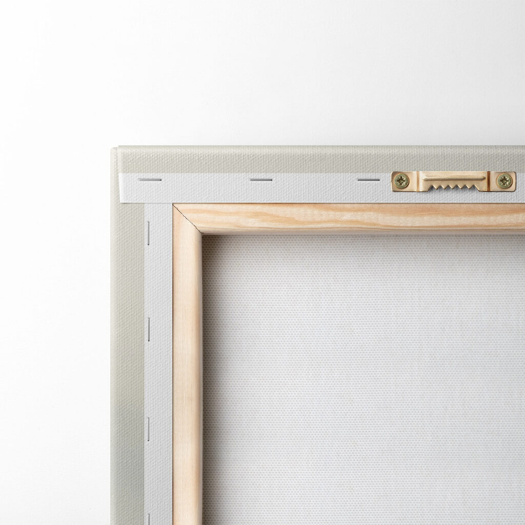 Group of trees in a forest Group of trees in a forest