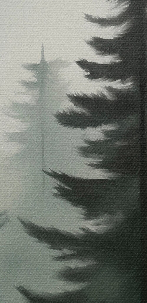 Group of trees in a forest Group of trees in a forest