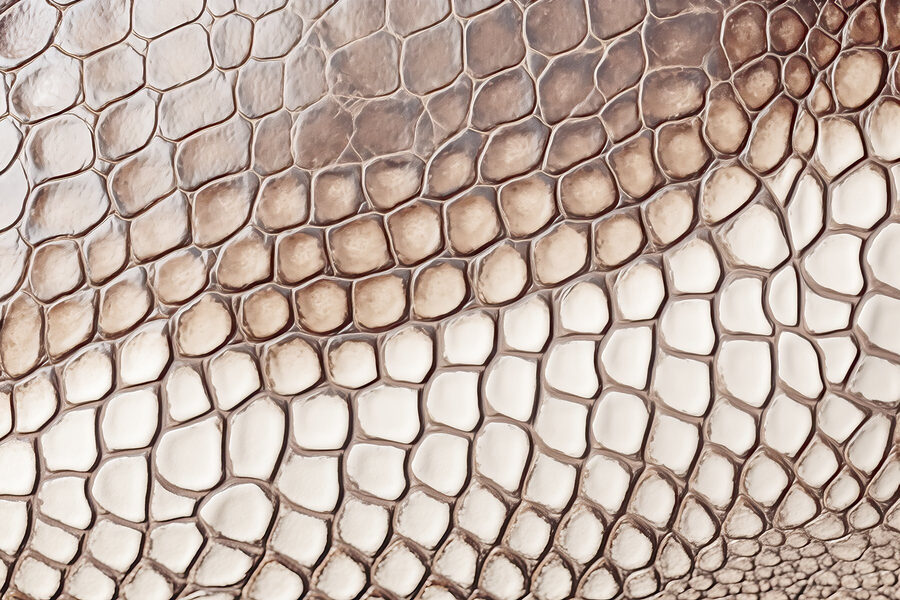 Fototapet Model texturat de piele de reptilă în prim plan. - imagine 7