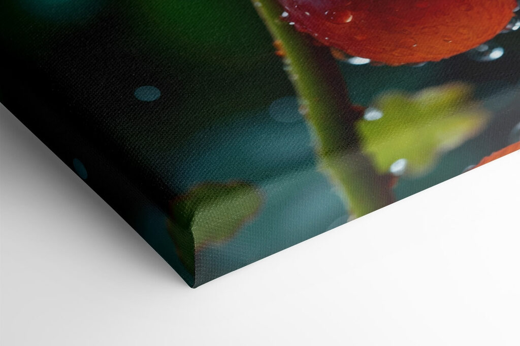 Bunch of grapes with water droplets on them