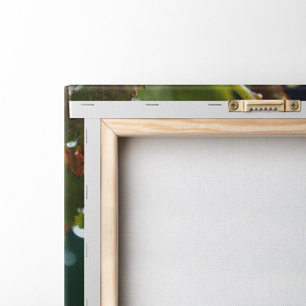 Bunch of grapes with water droplets on them