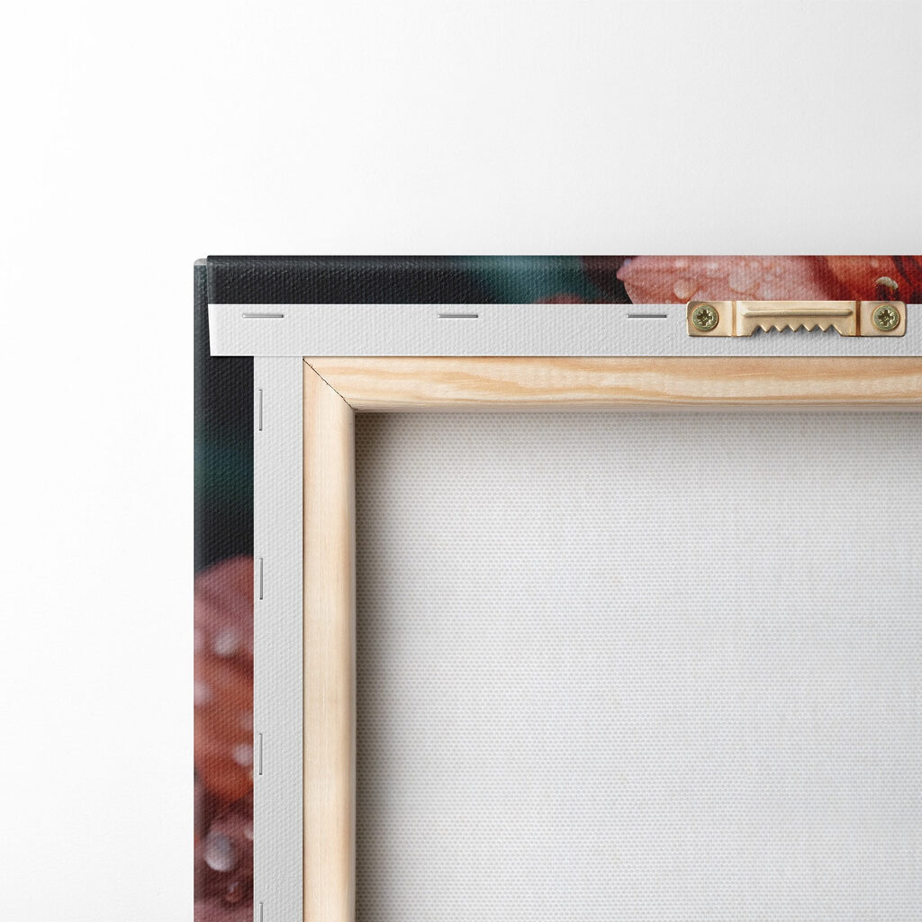 Group of red flowers with water droplets