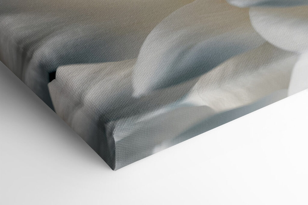 Delicate petals in soft hues