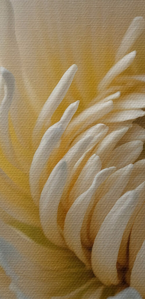 Delicate petals in soft hues