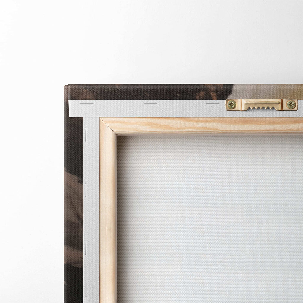 Delicate petals in soft colors Delicate petals in soft colors