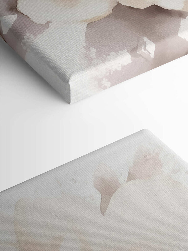 White flower with brown center White flower with brown center