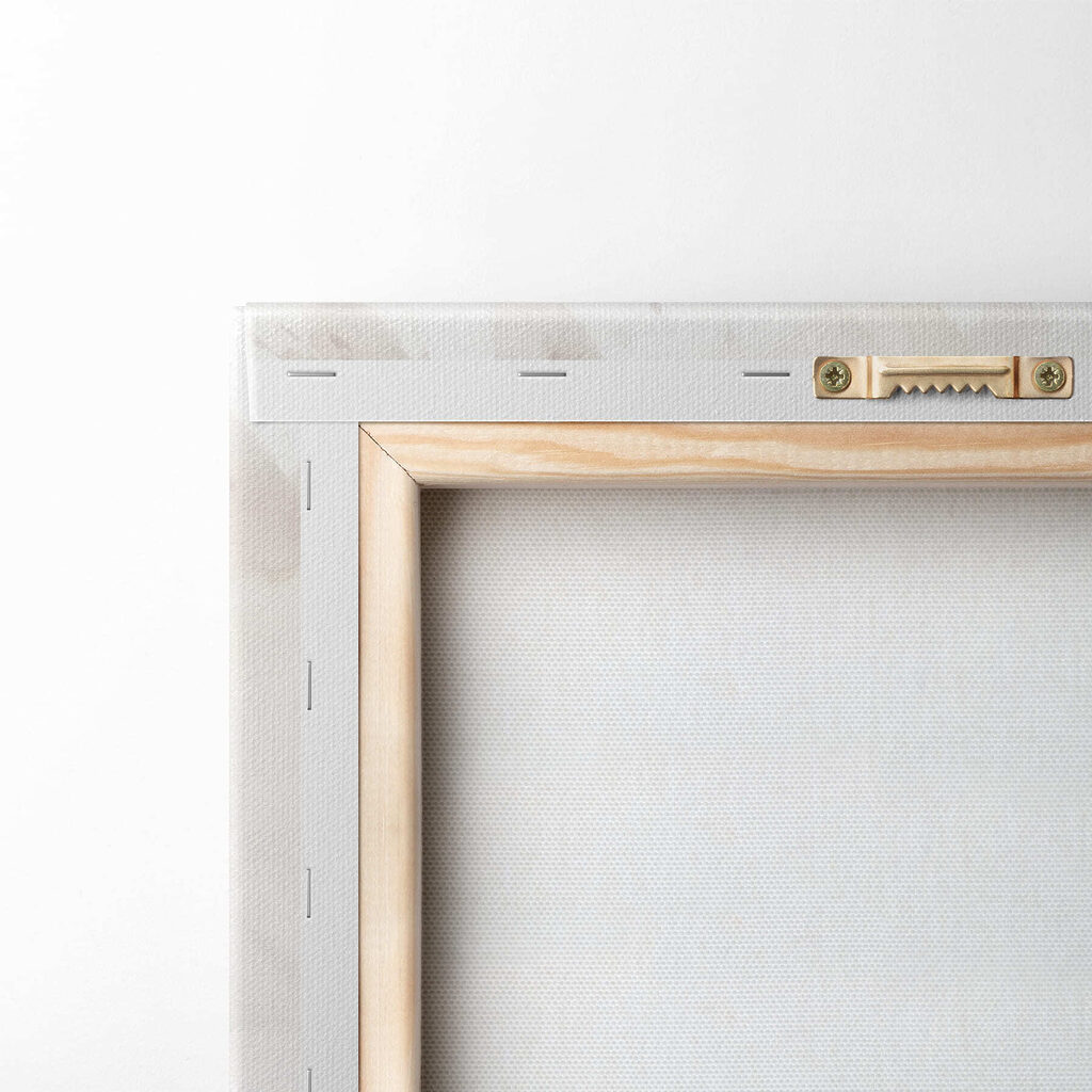 White flower with brown center White flower with brown center