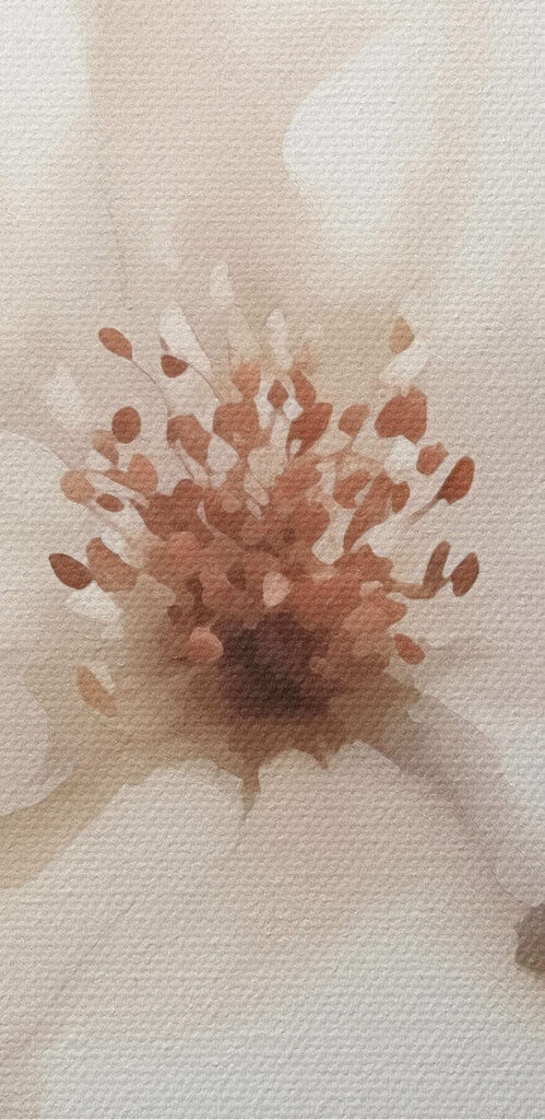 White flower with brown center White flower with brown center