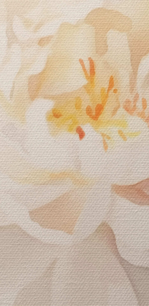 Floare albă cu frunze verzi Floare albă cu frunze verzi