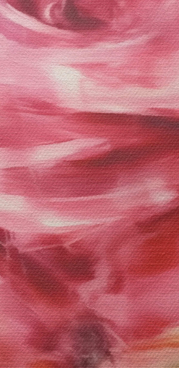Painting of a pink rose