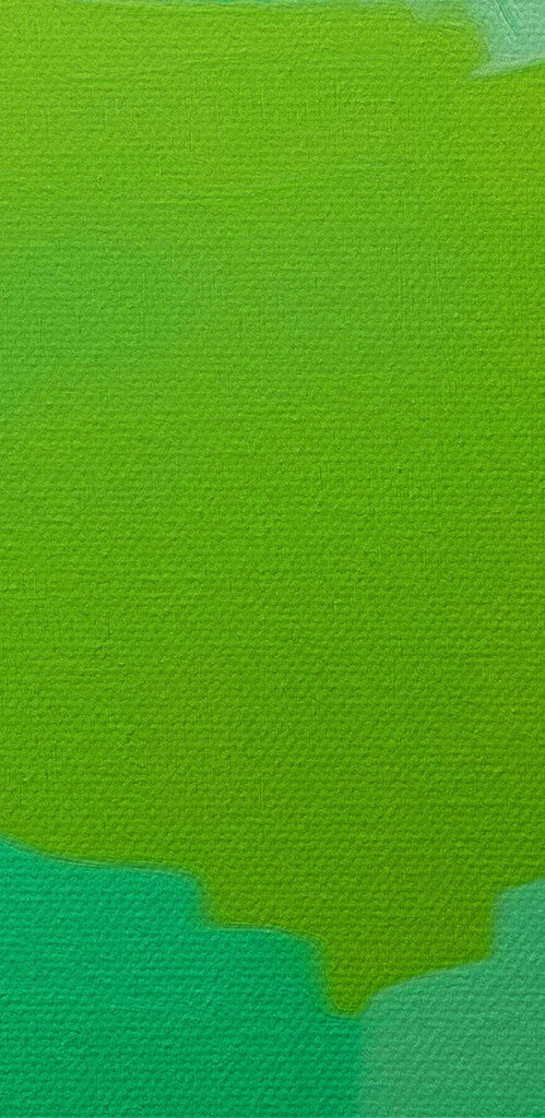 Green parrot with yellow eyes