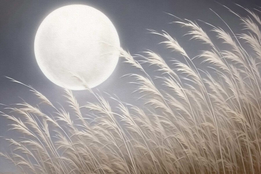 Luna pe cer